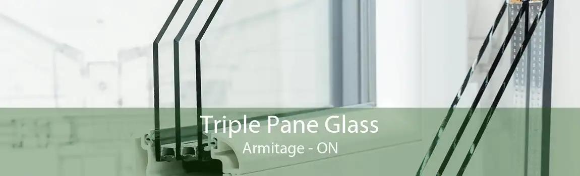 Triple Pane Glass Armitage - ON