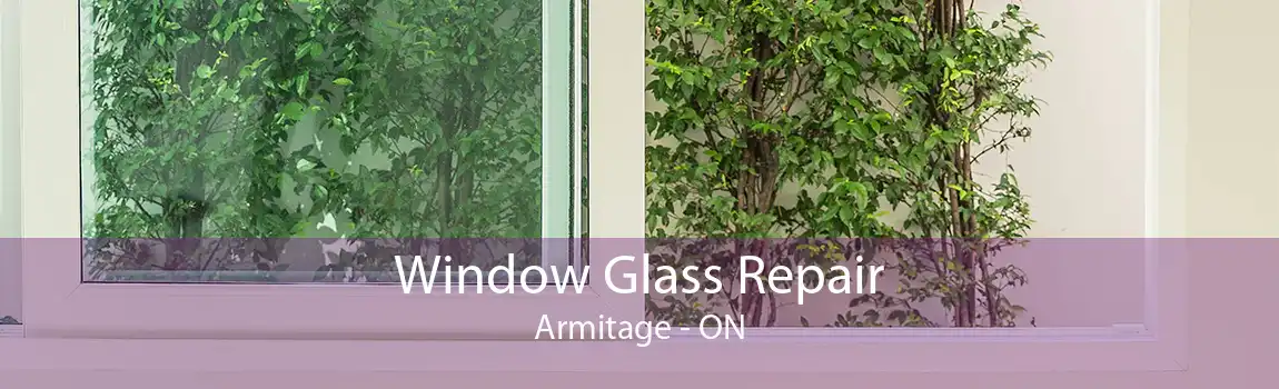 Window Glass Repair Armitage - ON