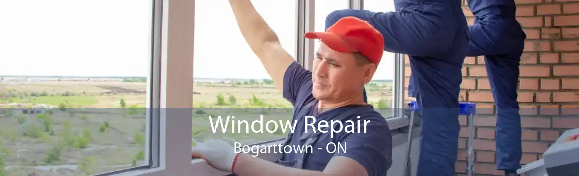 Window Repair Bogarttown - ON