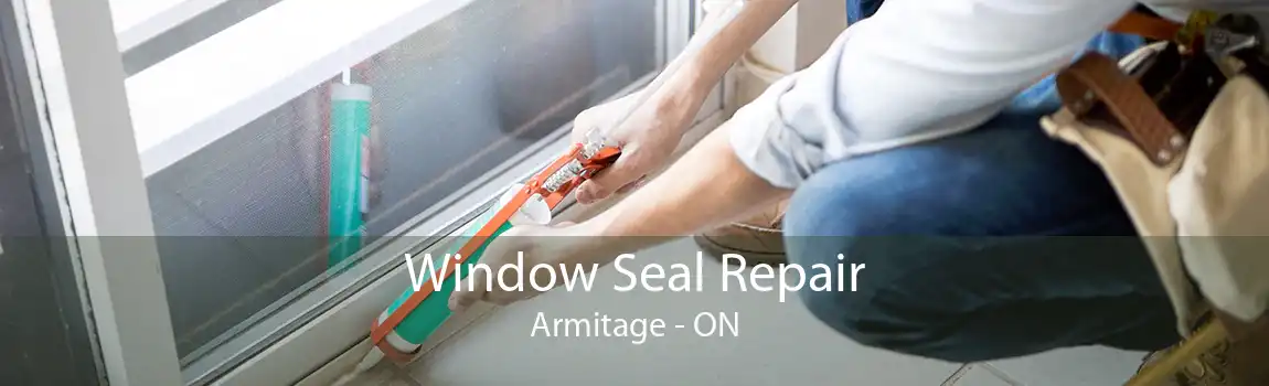Window Seal Repair Armitage - ON